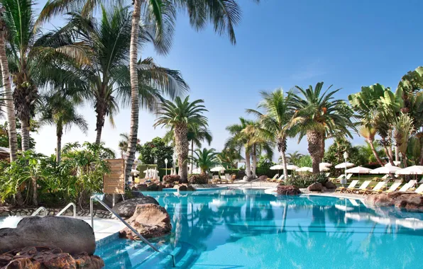 Пальмы, бассейн, курорт, Palma de Mallorca, Baleares