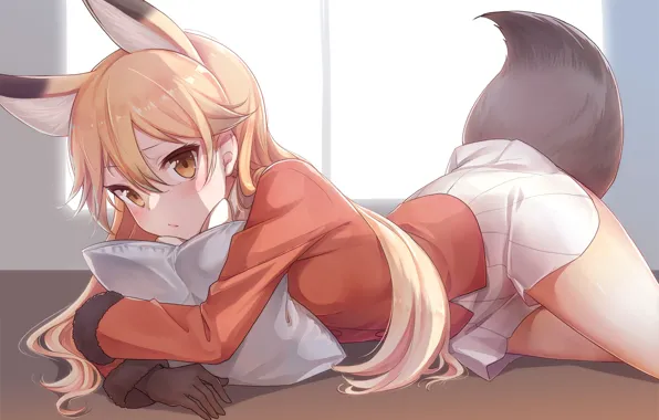 Девушка, ушки, хвостик, лисица, kemono friends, konnyaku, ezo red fox