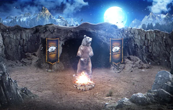 Горы, птицы, ночь, скалы, луна, медведь, виртус, virtus