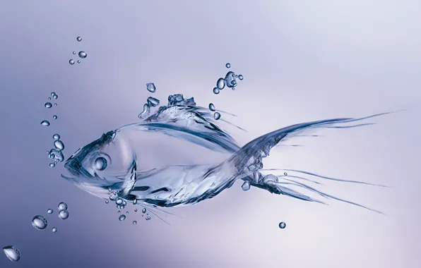 Картинка вода, пузырьки, минимализм, рыба, bubbles, minimalism, water, figure