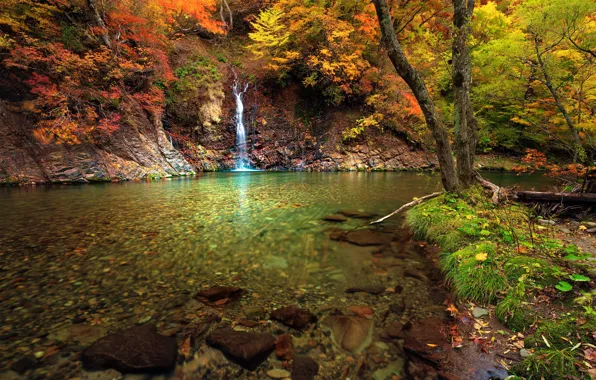 Картинка осень, деревья, пейзаж, природа, водопад, Япония
