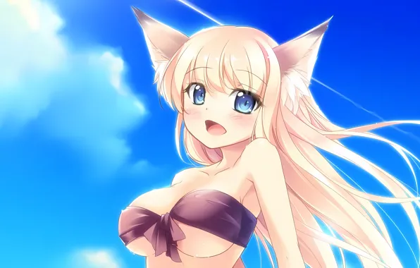 Girl, sexy, cleavage, sky, long hair, boobs, animal ears, anime