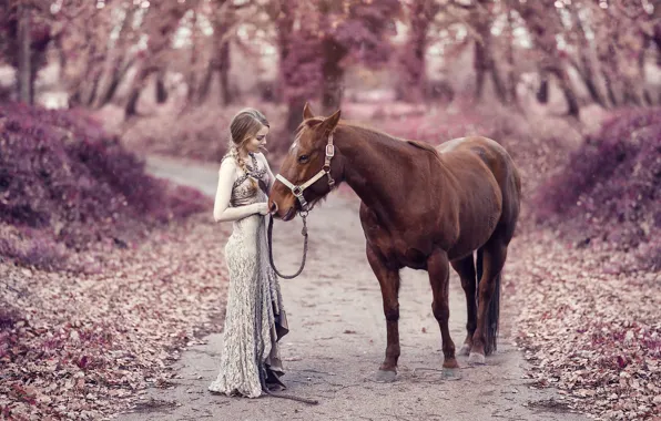 Дорога, осень, девушка, настроение, конь, лошадь, платье