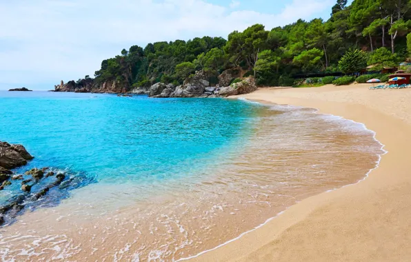 Картинка море, зелень, пляж, лето, побережье, Испания, Spain, Platja de Treumal