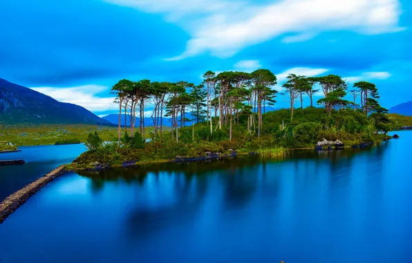 Небо, деревья, озеро, остров, сосны, Ирландия, водная гладь, Ireland