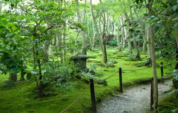 Картинка лето, деревья, Япония, сад, тропинка