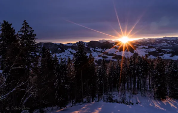 Солнце, снег, деревья, горы, Sonnenaufgang