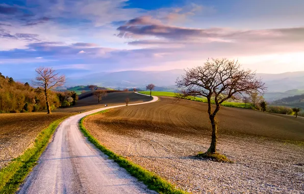 Картинка дорога, небо, облака, деревья, поля, весна, Италия, март