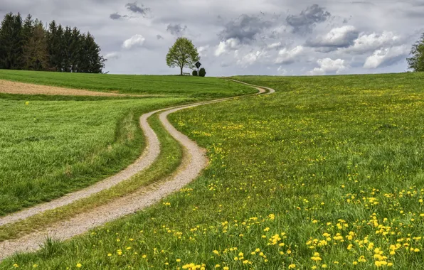 Картинка дорога, поле, лето