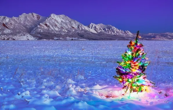 Картинка зима, поле, праздник, ёлка