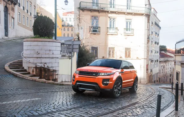 Оранжевый, Orange, Внедорожник, Evoque, Rover, Range