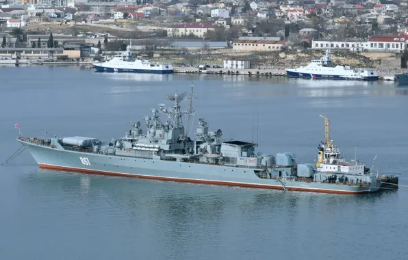 Корабль, сторожевой, проект 1135, Ладный