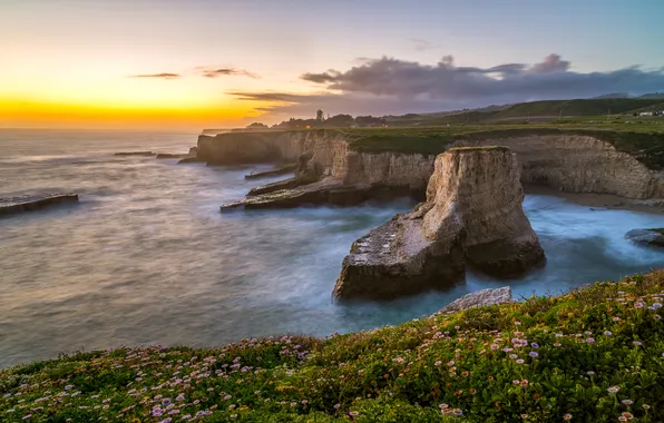 Картинка море, цветы, скалы, рассвет, побережье, горизонт, Калифорния, США
