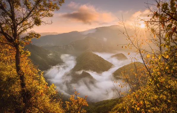 Осень, облака, пейзаж, горы, природа, туман, река, леса