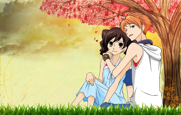 Аниме, арт, пара, двое, Ouran High School Host Club