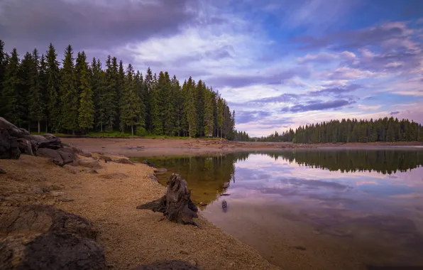 Картинка лес, облака, озеро