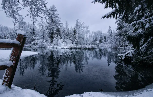 Картинка снег, деревья, отражение, река