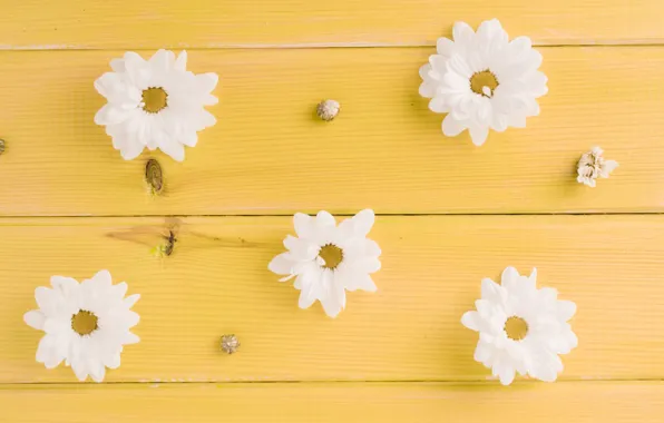Цветы, белые, бутоны, желтый фон, yellow, wood, flowers