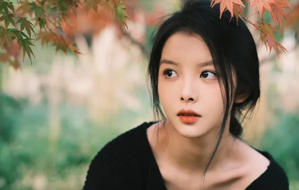 Beautiful, Asian, Model, Tree, Woman, Cute, Pretty, Petite
