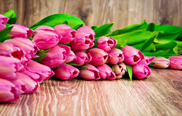 Букет, тюльпаны, love, fresh, pink, flowers, romantic, tulips