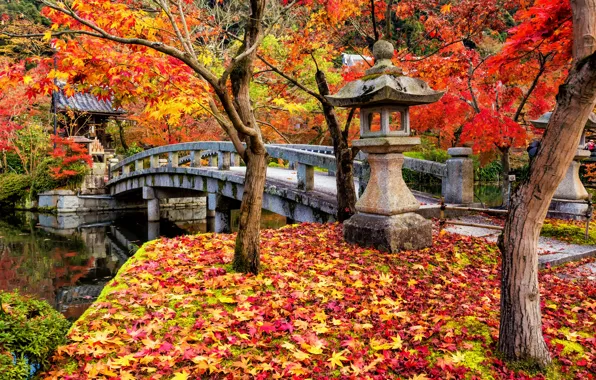Осень, листья, деревья, парк, colorful, Япония, Japan, клен