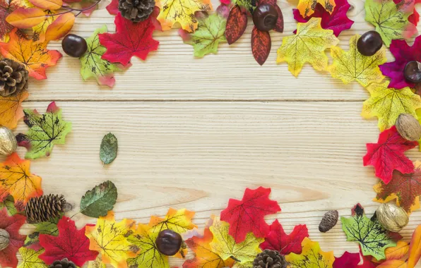 Картинка осень, листья, фон, доски, colorful, клен, wood, background