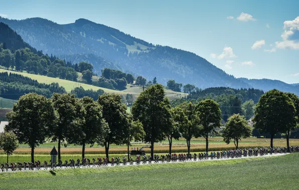 Спорт, Франция, Альпы, велосипедисты, спортсмены, Peloton, Тур де Франс, procycling