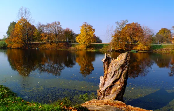 River, yellow, blue, autumn