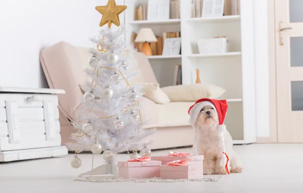 Картинка праздник, новый год, рождество, собака, christmas, new year