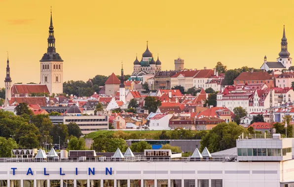Здания, крыши, Эстония, Таллин, панорама
