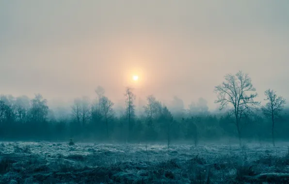 Пейзаж, туман, утро
