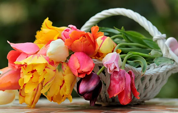 Картинка цветы, корзина, весна, тюльпаны, ваза