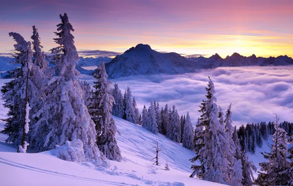 Картинка зима, небо, облака, снег, деревья, горы, природа, туман
