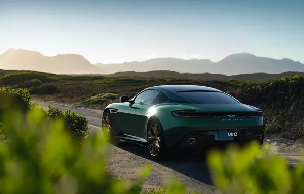Зеленый, Aston Martin, суперкар, вид сзади, 2023, Aston Martin DB12, DB12