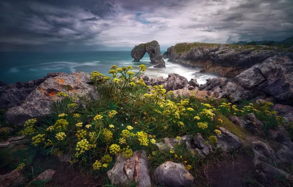 España, Asturias, Castro de las Gaviotas