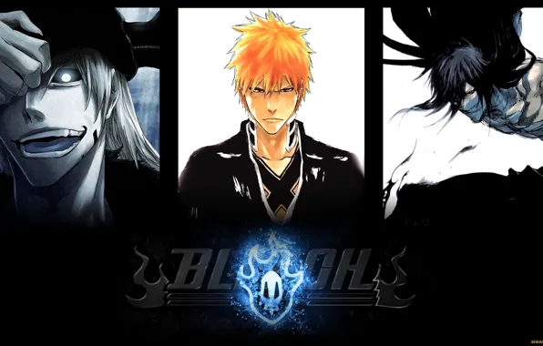 Bleach, пустой, Ичиго