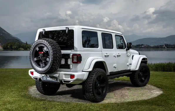 Картинка задом, Wrangler, Jeep, Unlimited, 2019, Militem, Ferōx