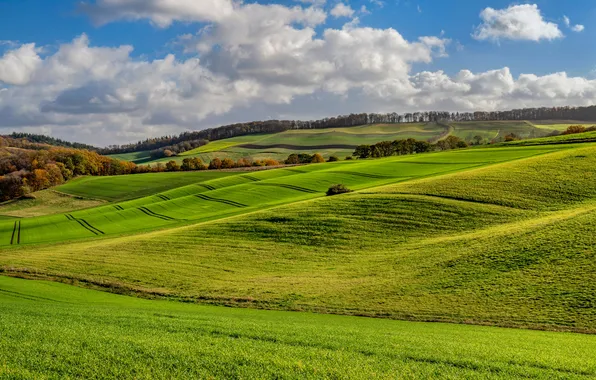 Пейзаж, холмы, Германия, Rheinland-Pfalz