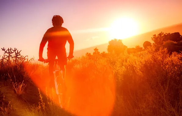 Картинка природа, утро, спортсмен, велосипедист, Sandia mountains bike