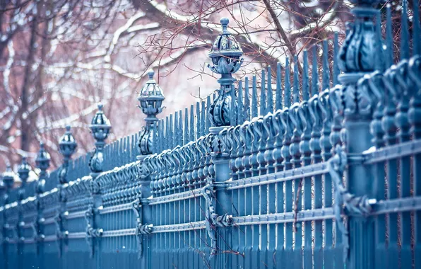 Картинка city, trees, blue, fence, cold, urban, Leipzig