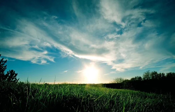 Картинка небо, трава, солнце