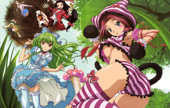 Девушки, часы, сказка, ведьма, уши, алиса в стране чудес, code geass, tabata hisayuki