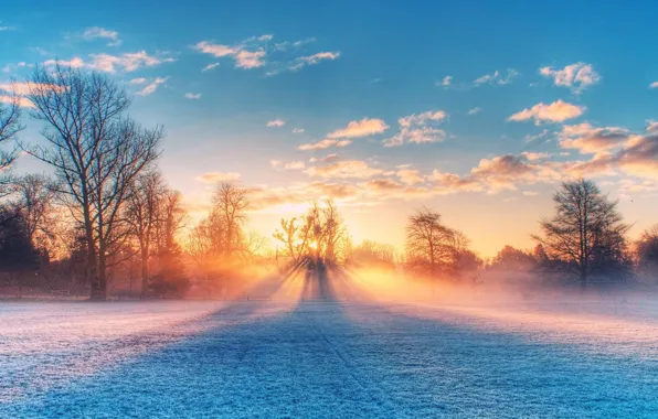 Field, nature, sunset, sunlight, winter scenery