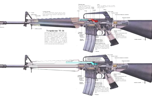 Картинка обои, армия, автоматы, устройство м-16