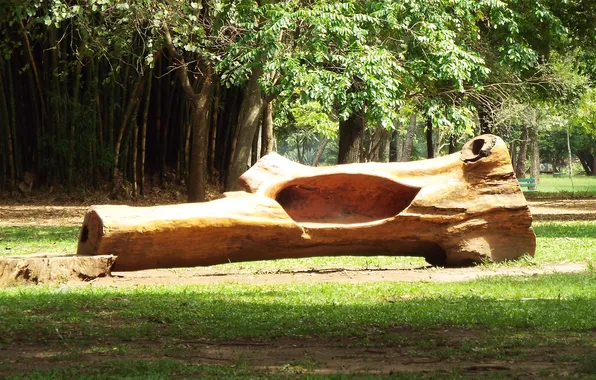 Brazil, Sao Paulo, Ibirapuera Park, Carved Tree Trunk