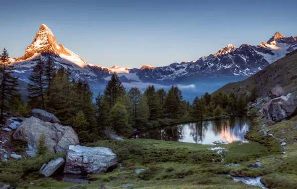 Деревья, горы, Швейцария, Альпы, Switzerland, Alps, Zermatt, Церматт