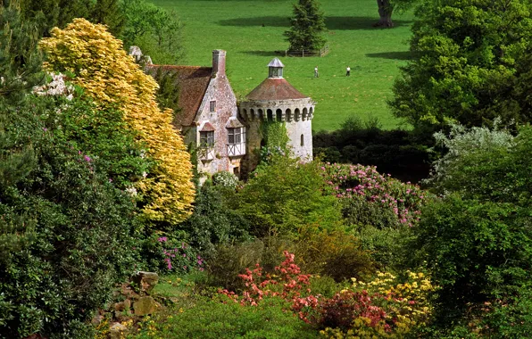 Поле, деревья, цветы, замок, Англия, кусты, Scotney Castle