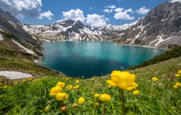 Цветы, горы, озеро, скалы, купальницы
