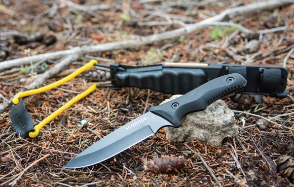 Sport, knife, skill, hunter, Sling, sports activity