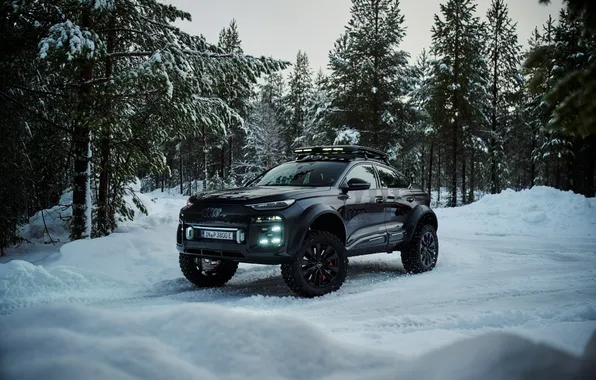 Concept, внедорожник, e-tron, offroad, SUV, 2025, Audi Q6 e-tron offroad concept, Audi Q6
